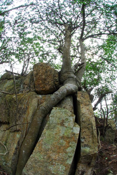 e0035757_2329518.jpg