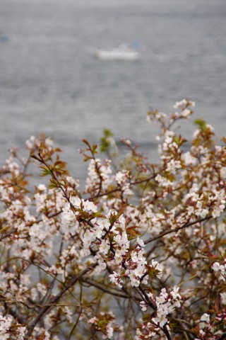 e0045768_22271820.jpg