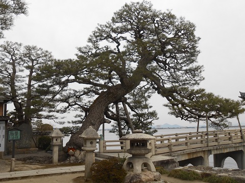 b0194872_22573355.jpg
