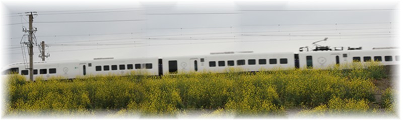 f0003174_17254181.jpg
