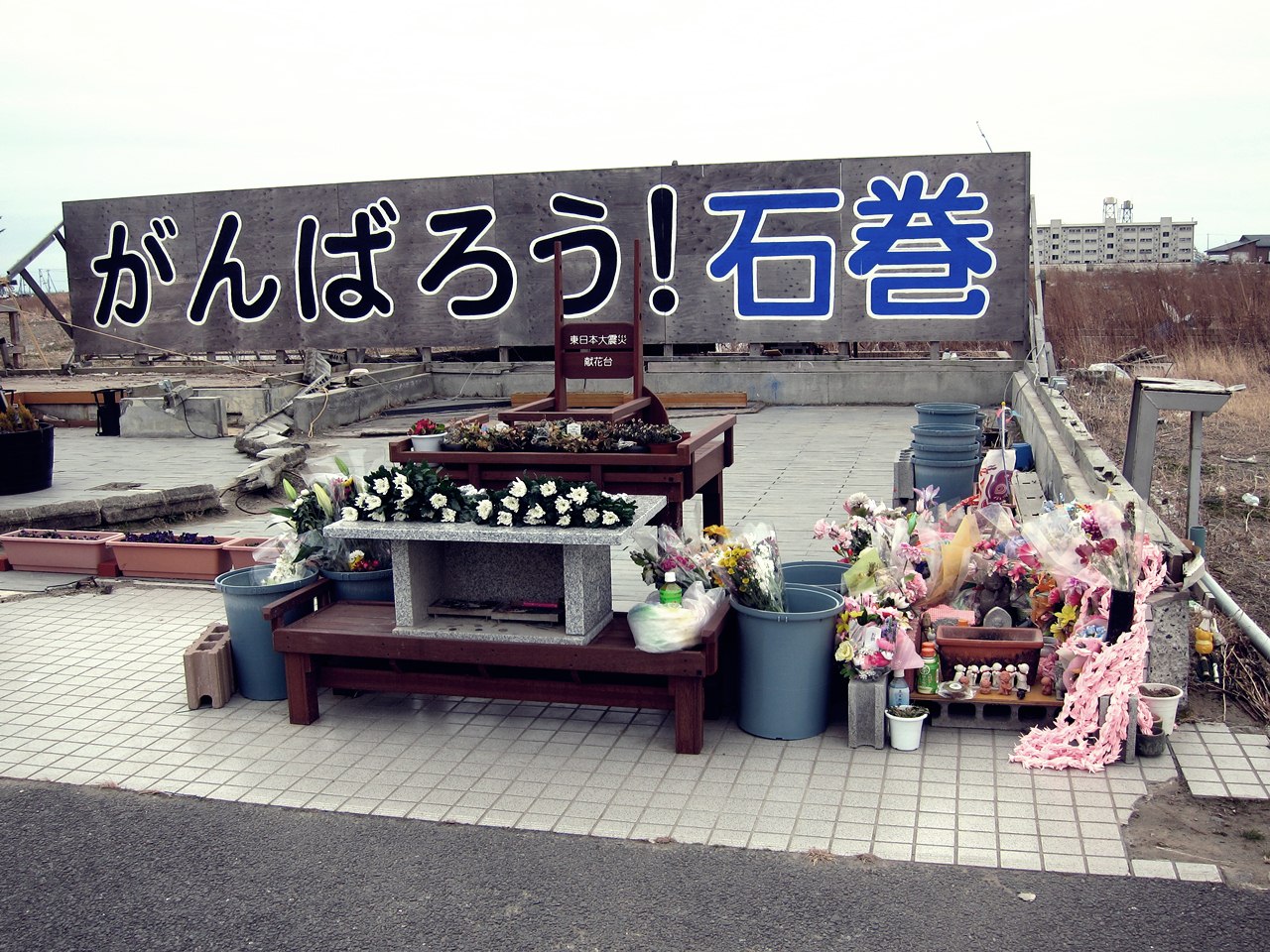 e0167780_949746.jpg