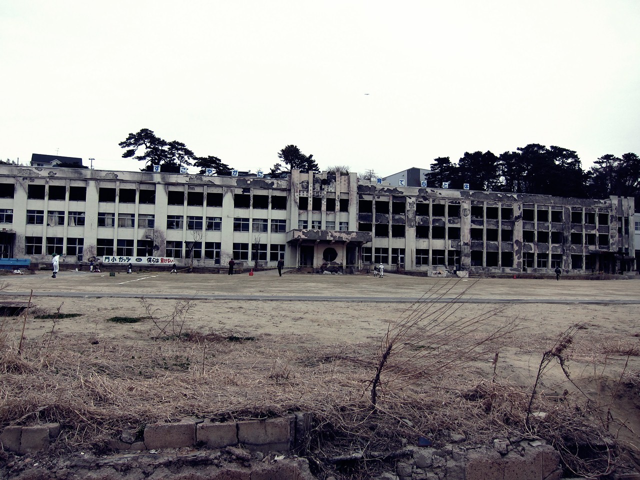 e0167780_9514613.jpg
