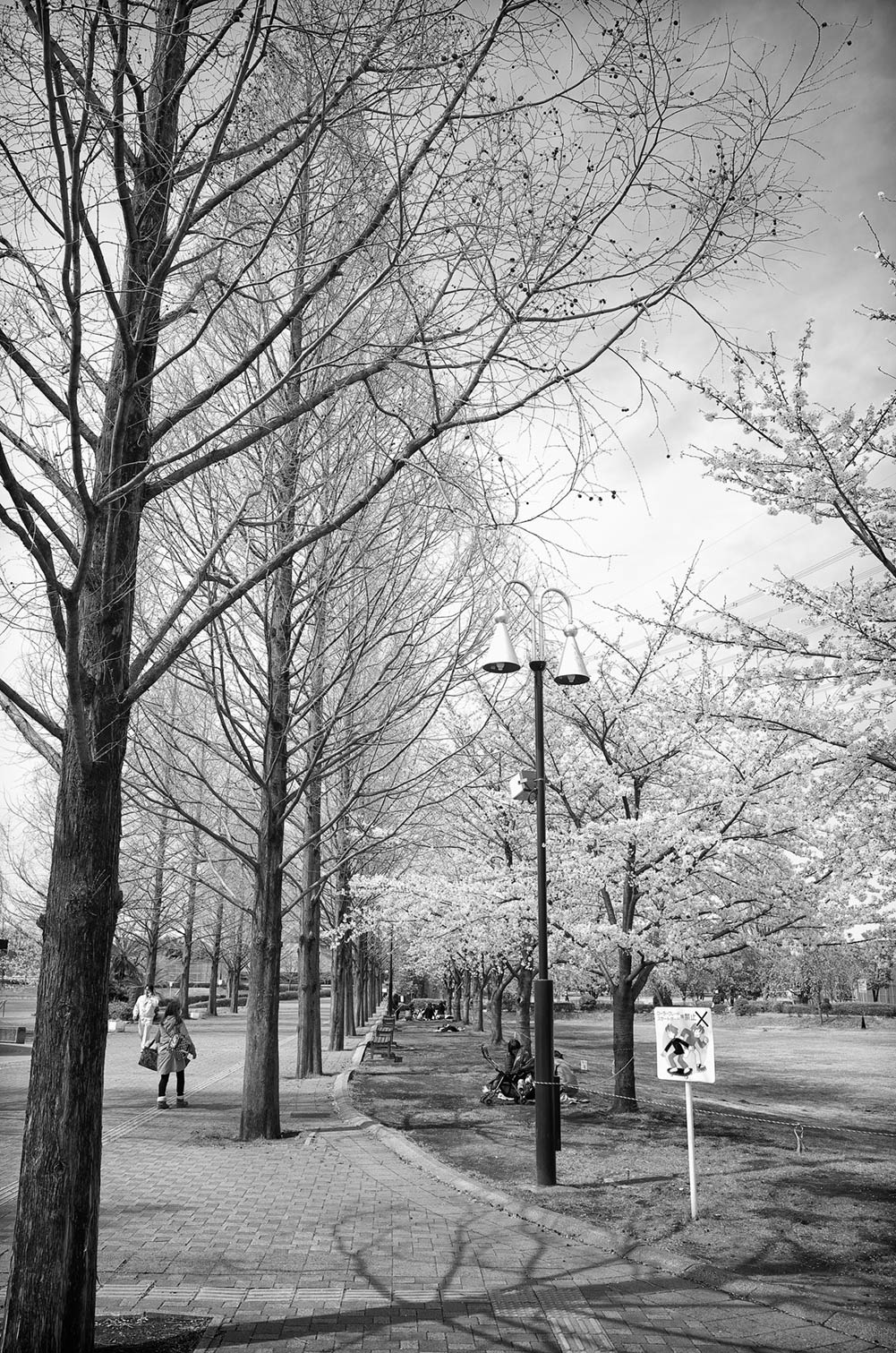 f0121181_0423236.jpg