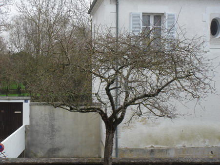 a0247585_141396.jpg
