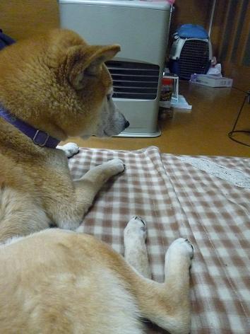 c0123890_20102661.jpg