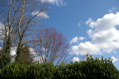 b0283192_631190.jpg