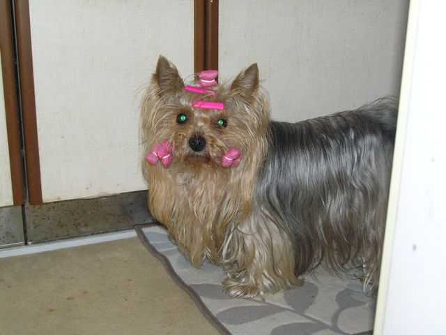 f0130894_20432211.jpg