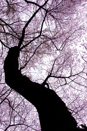 f0240595_827999.jpg