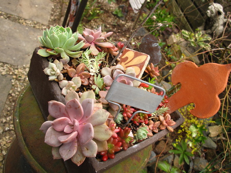 f0178897_1949192.jpg