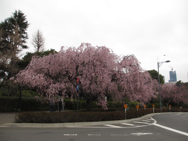 a0193698_200033.jpg