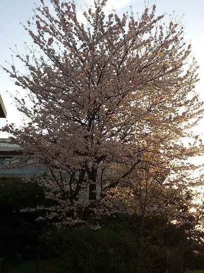 b0160300_238197.jpg