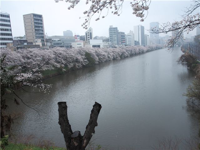 f0224100_10164690.jpg