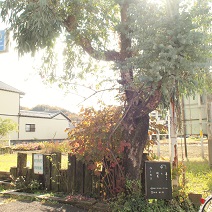 b0168801_14472861.jpg