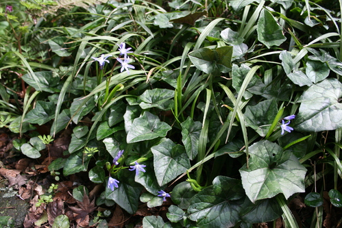 a0139007_1321790.jpg