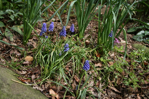 a0139007_1322138.jpg