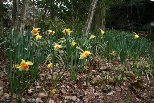 a0139007_17125557.jpg