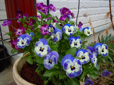 c0117007_22473429.jpg