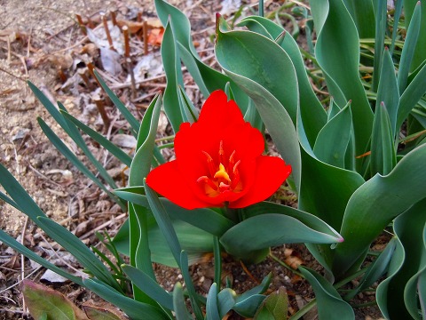 c0117007_22484370.jpg