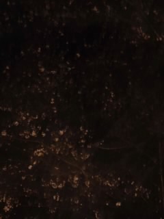 b0085408_23491639.jpg