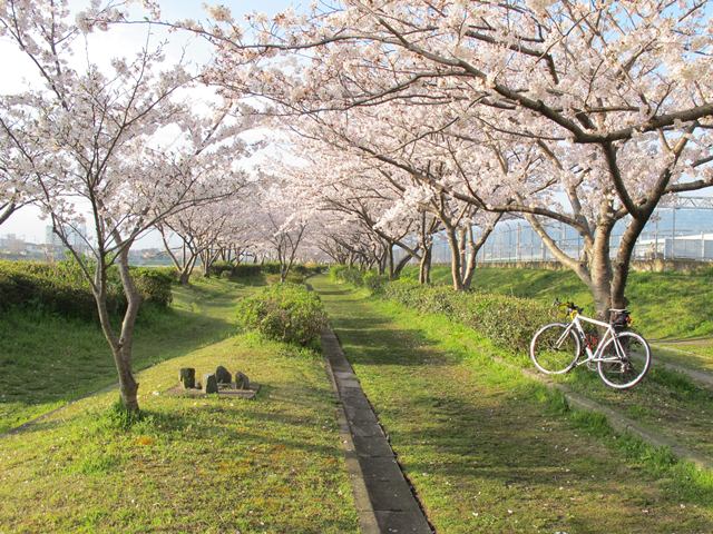c0238519_21271566.jpg