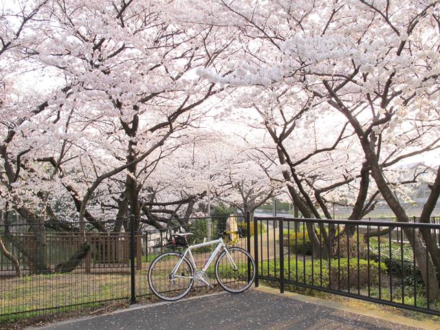 c0238519_21275811.jpg