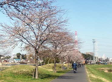 a0053420_14574069.jpg