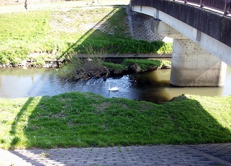 a0053420_1513145.jpg