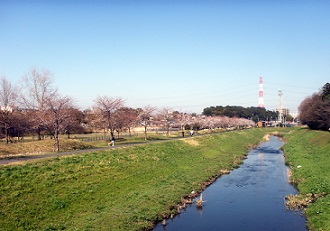 a0053420_15142936.jpg