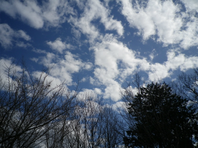 f0188324_1918448.jpg