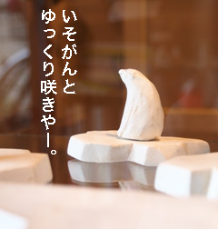 c0188928_2229249.jpg