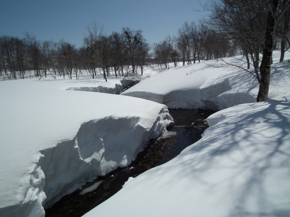 f0118332_0213887.jpg