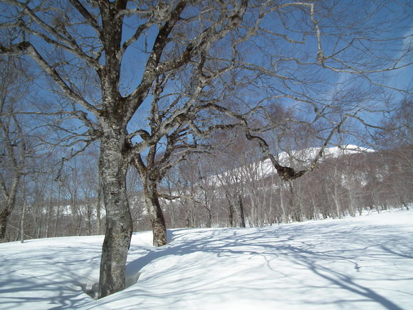 f0118332_022137.jpg