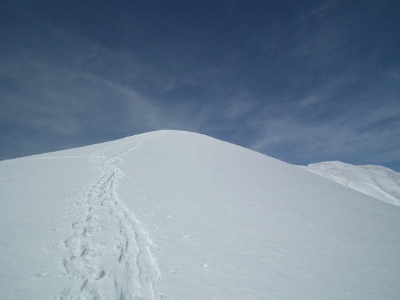 f0118332_0294542.jpg