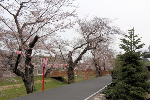 c0134734_1832391.jpg