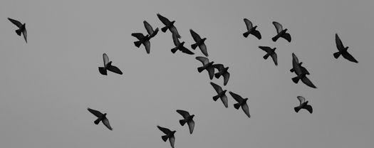 c0134734_1911269.jpg
