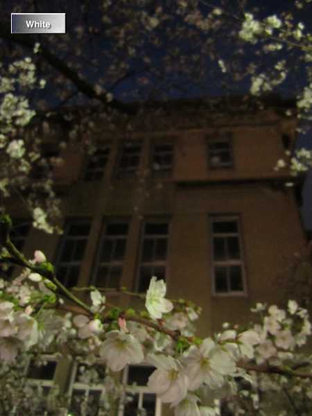 c0227134_21525736.jpg