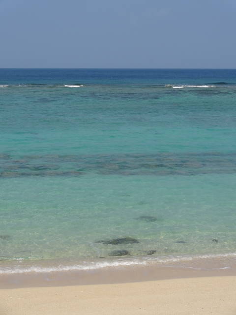 b0117437_1843853.jpg