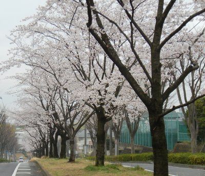 a0142343_11163998.jpg