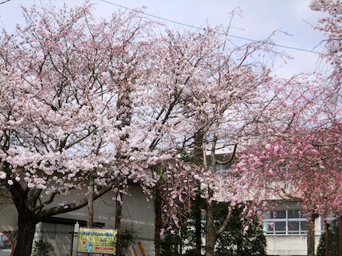 f0213347_19431684.jpg
