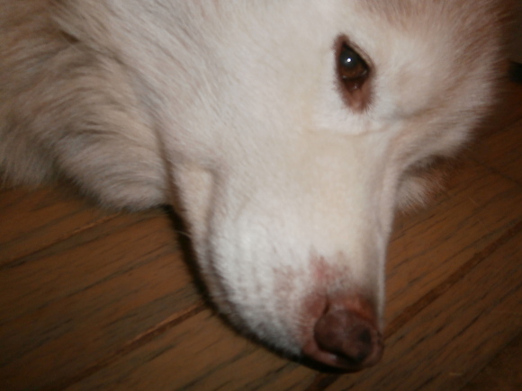 e0121548_2113163.jpg