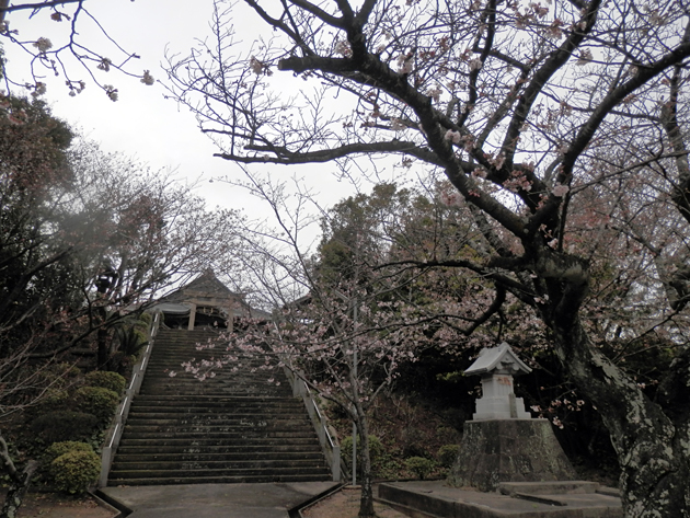 f0214649_21293345.jpg
