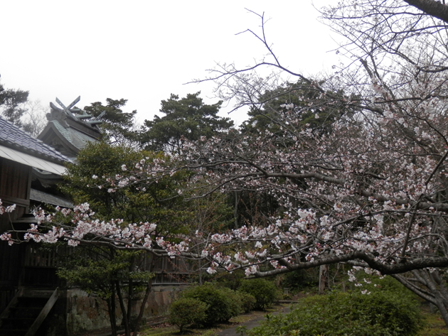 f0214649_21304082.jpg