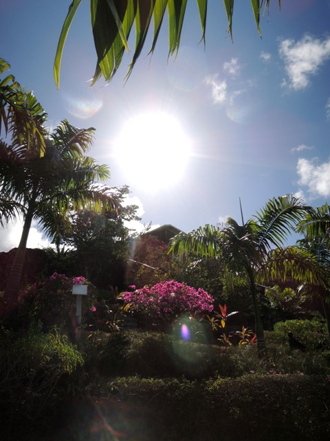 b0173754_12173434.jpg