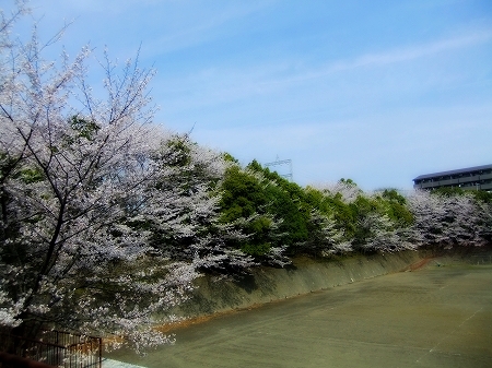 c0097558_16252940.jpg