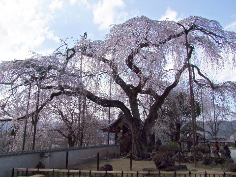 e0088260_22111152.jpg