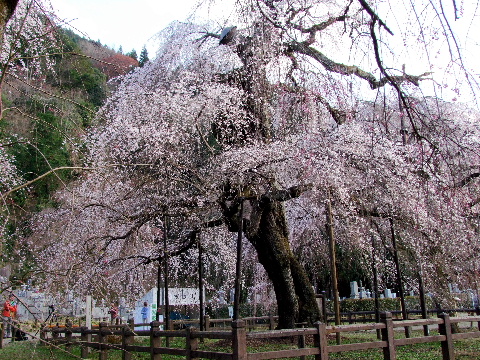e0088260_22113888.jpg