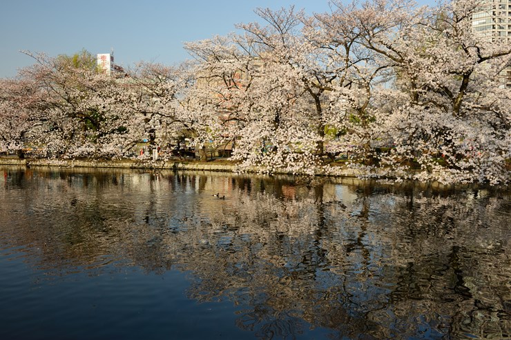 f0222161_11182213.jpg