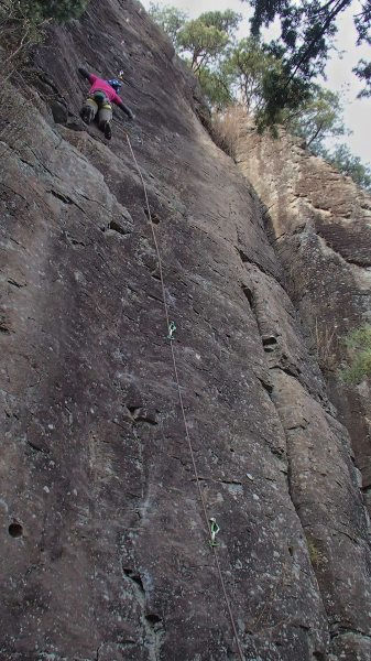 b0050067_5303623.jpg