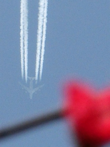 e0045768_2230646.jpg