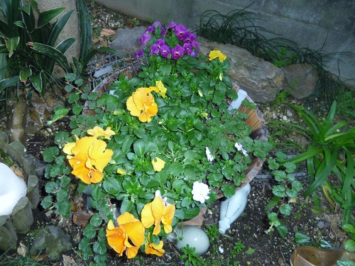 e0031572_16481920.jpg